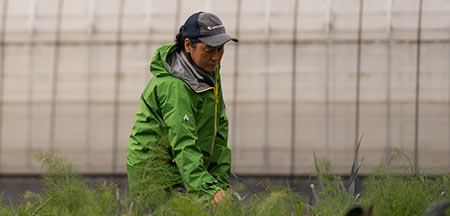 私たちが大切に育てた野菜の良さを
知って喜んでもらいたい